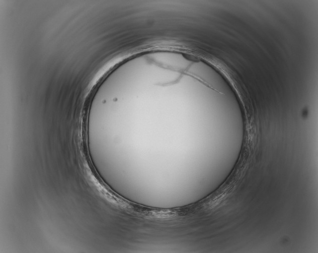X0000116381147200912161455