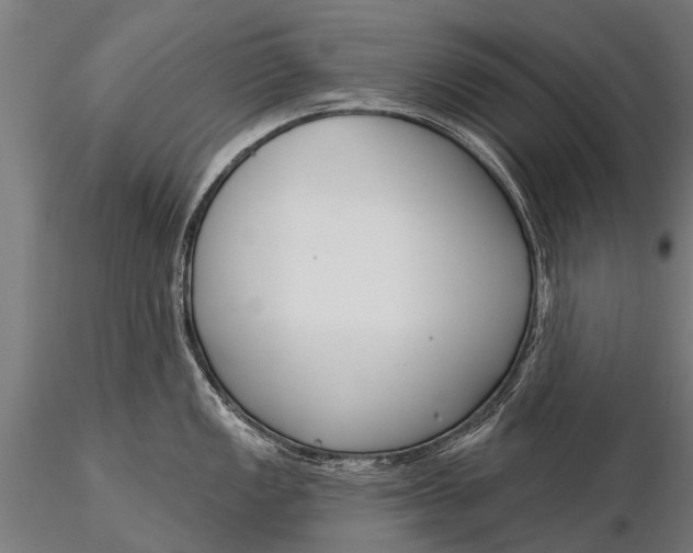 X0000116381149200912161455