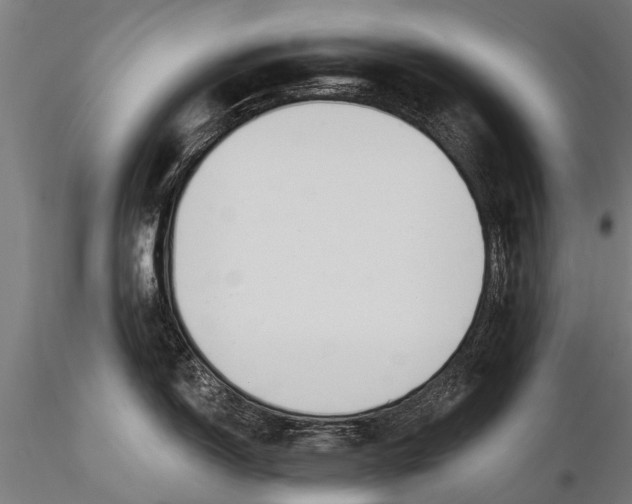 X0000116381150200912161455