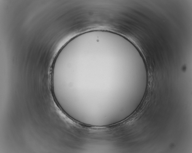 X0000116381151200912161455