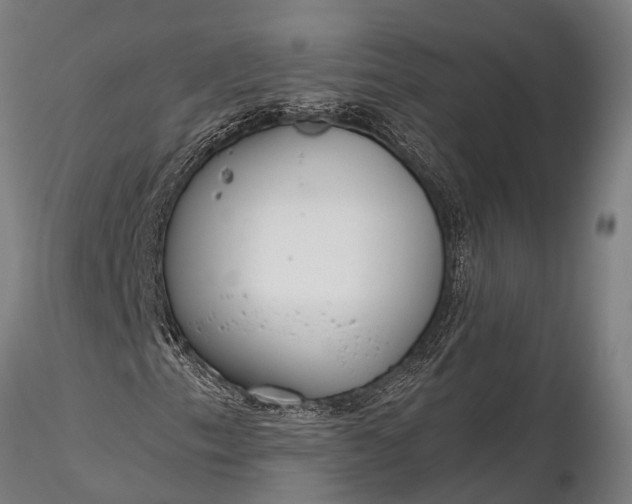 X0000116381153200912161454