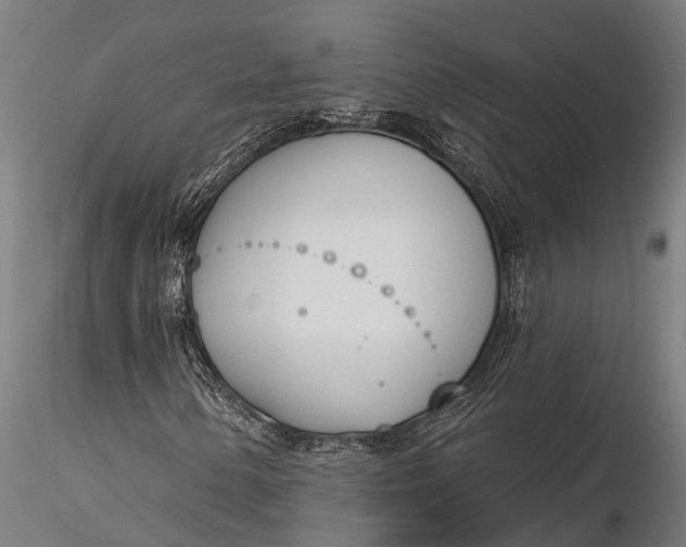 X0000116381154200912161454
