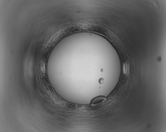 X0000116381155200912161454