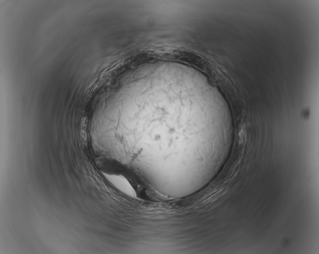 X0000116381156200912161454