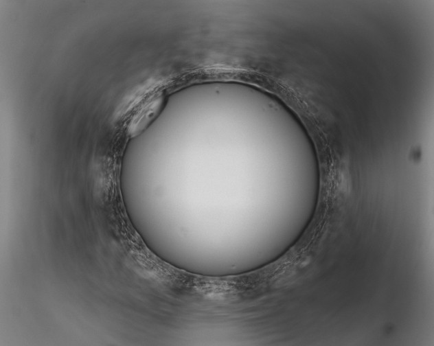 X0000116381157200912161454
