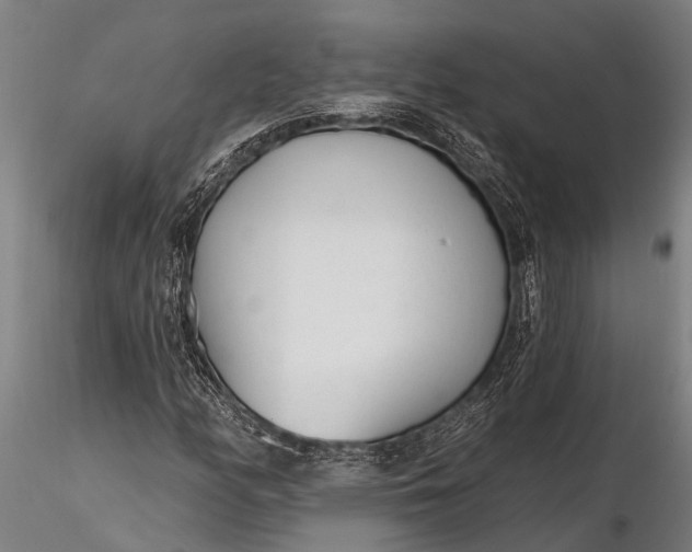 X0000116381158200912161454