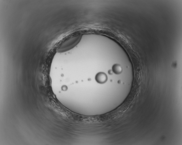 X0000116381159200912161454