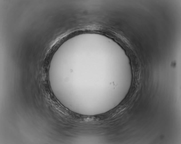 X0000116381160200912161454