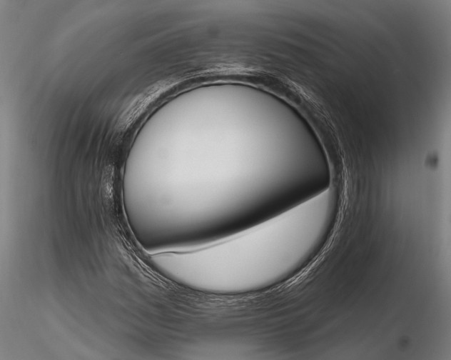 X0000116381161200912161454
