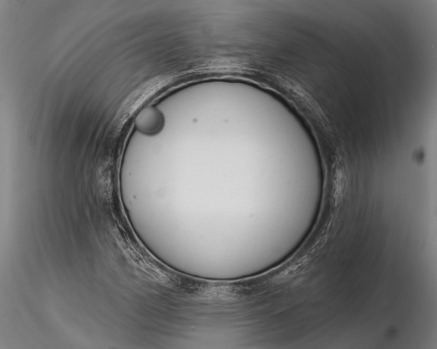 X0000116381162200912161454
