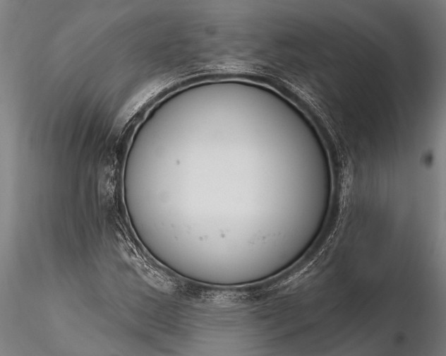 X0000116381163200912161454