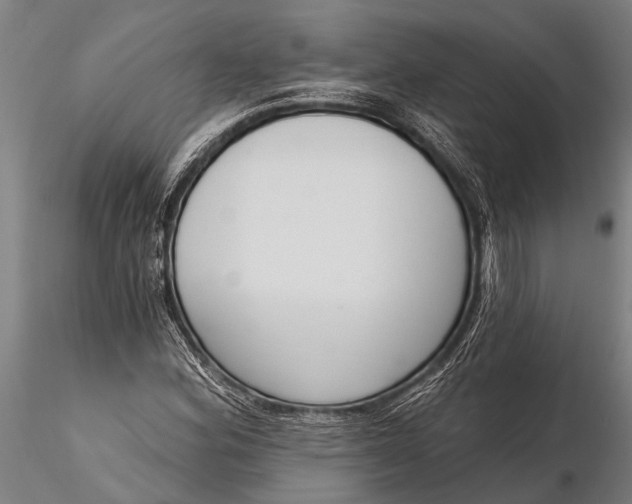 X0000116381164200912161454