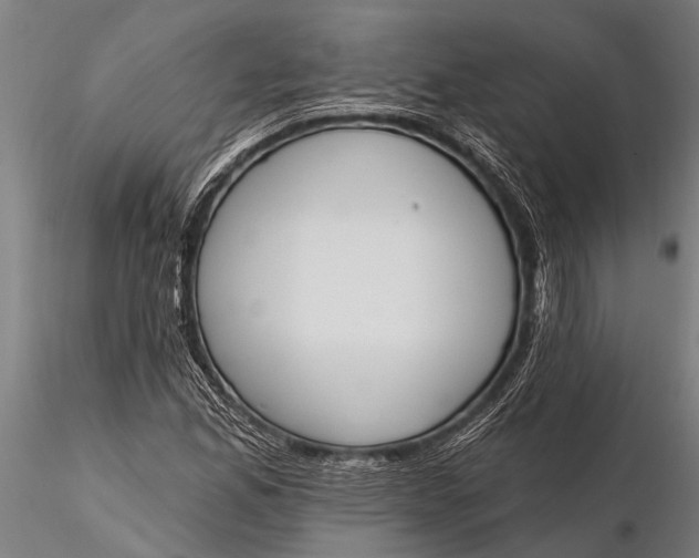 X0000116381165200912161454