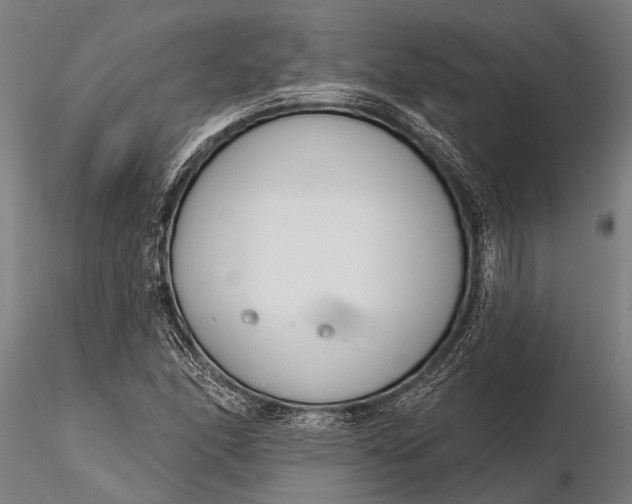 X0000116381166200912161454