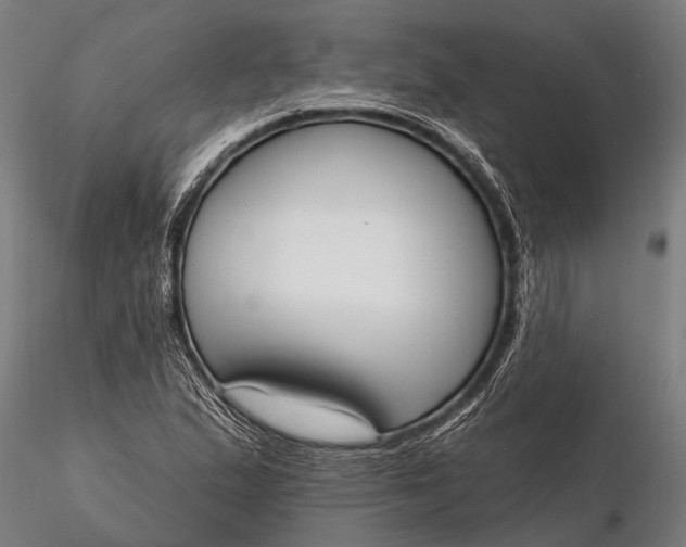 X0000116381167200912161454