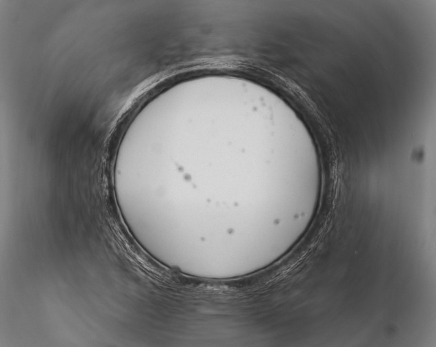 X0000116381168200912161454
