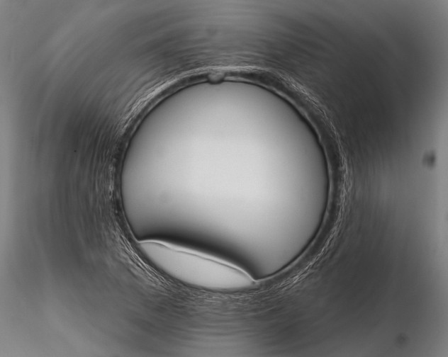 X0000116381169200912161454