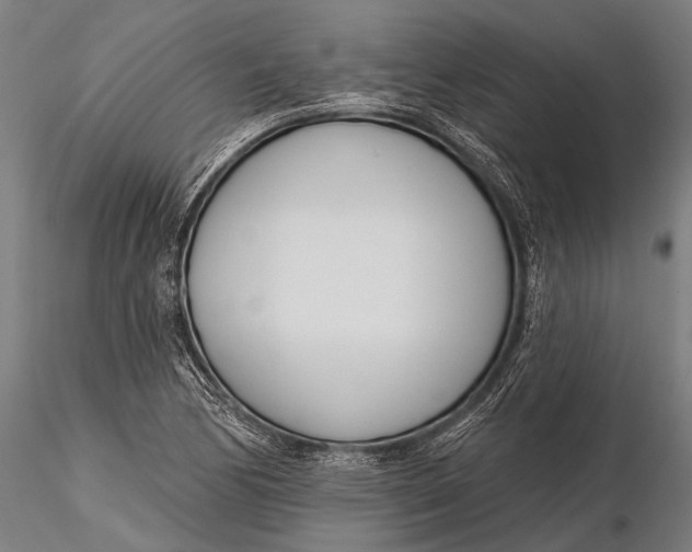 X0000116381170200912161454