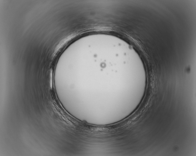 X0000116381171200912161454