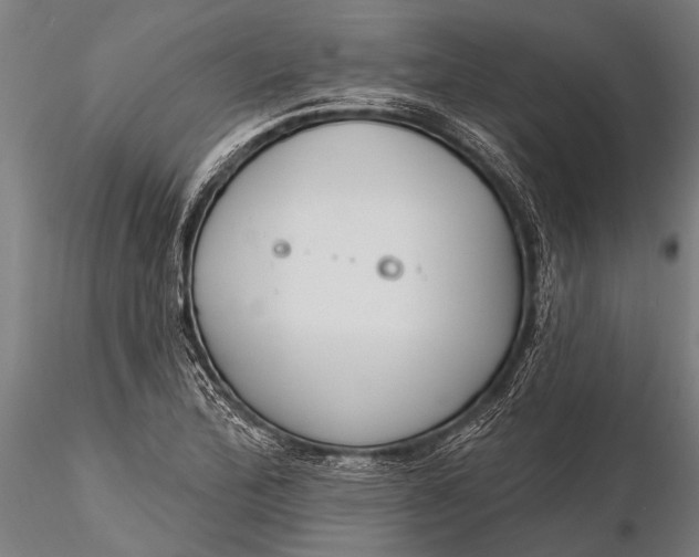 X0000116381172200912161454