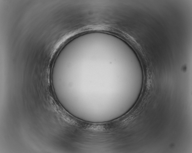 X0000116381174200912161454