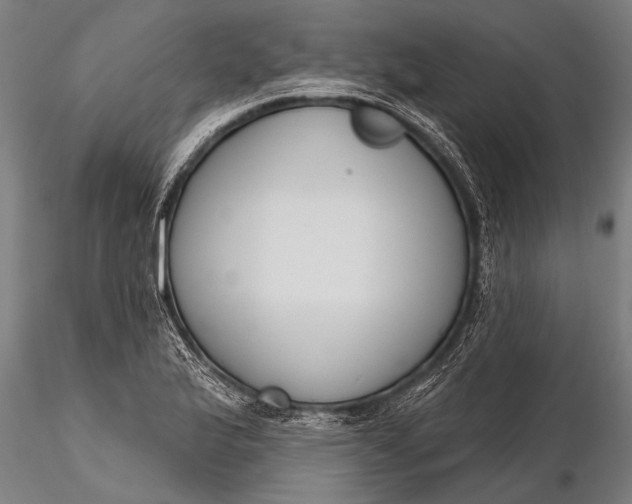 X0000116381175200912161454