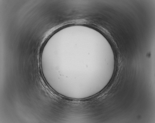 X0000116381176200912161454