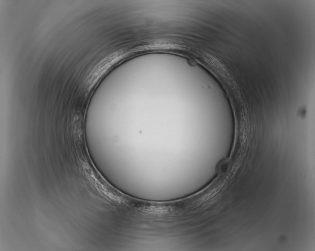 X0000116381177200912161454