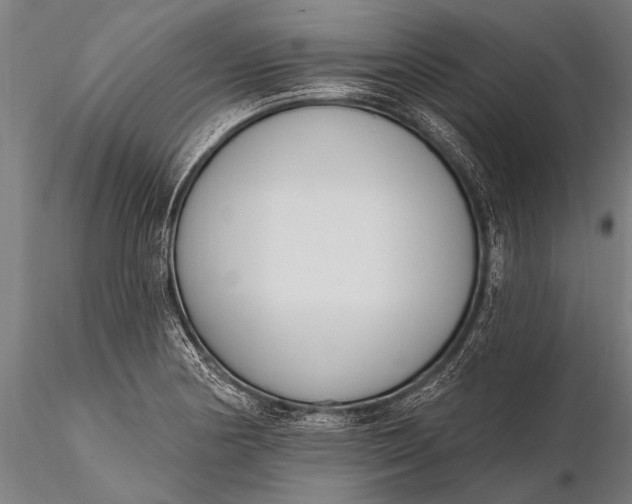X0000116381178200912161454