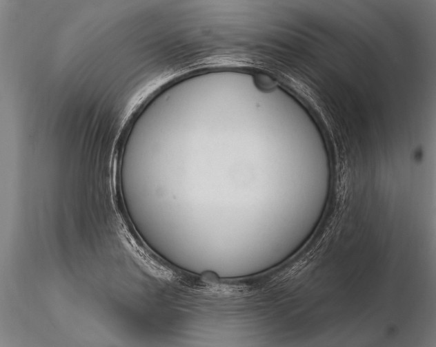 X0000116381179200912161454