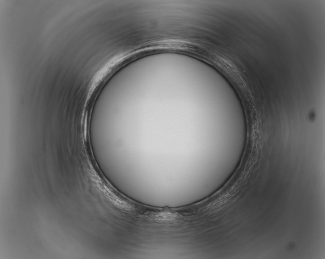 X0000116381180200912161454