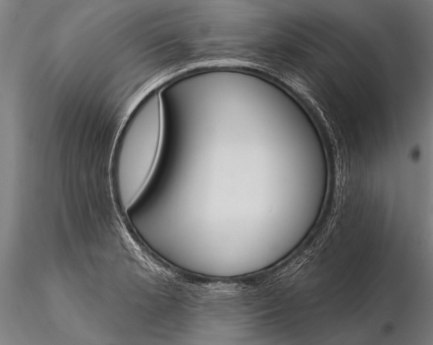 X0000116381181200912161454