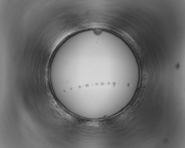 X0000116381182200912161454