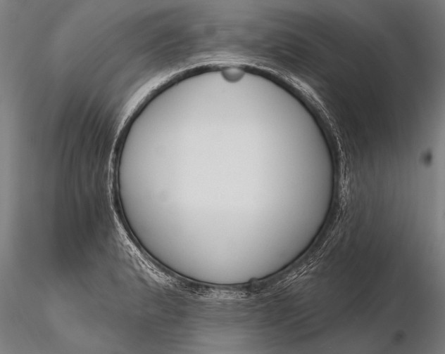 X0000116381183200912161454