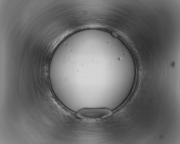 X0000116381185200912161454