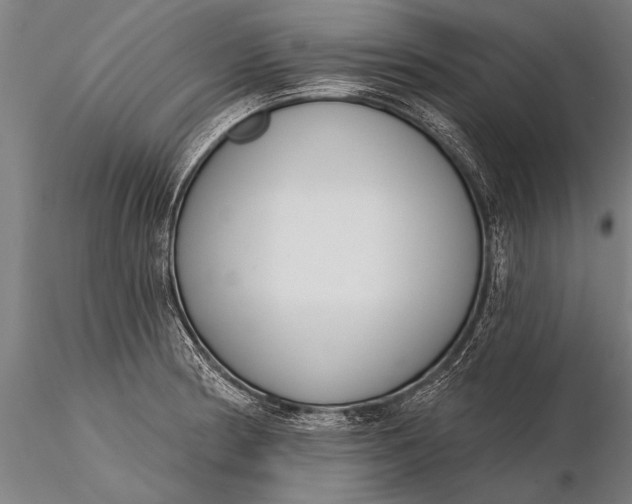 X0000116381186200912161454