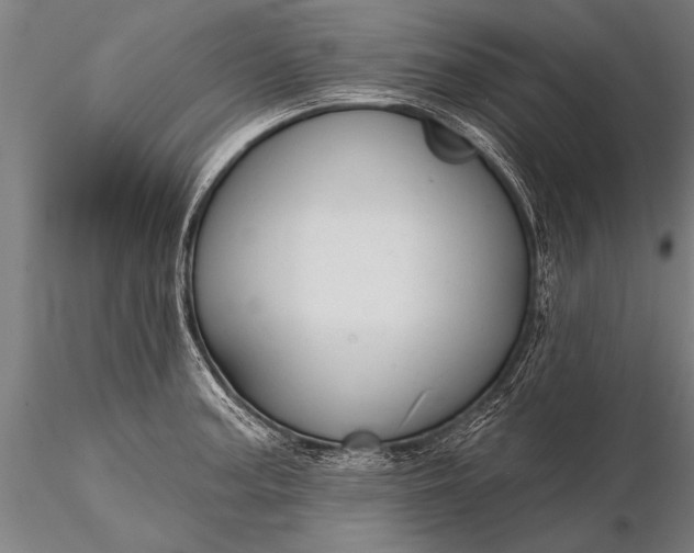 X0000116381187200912161454