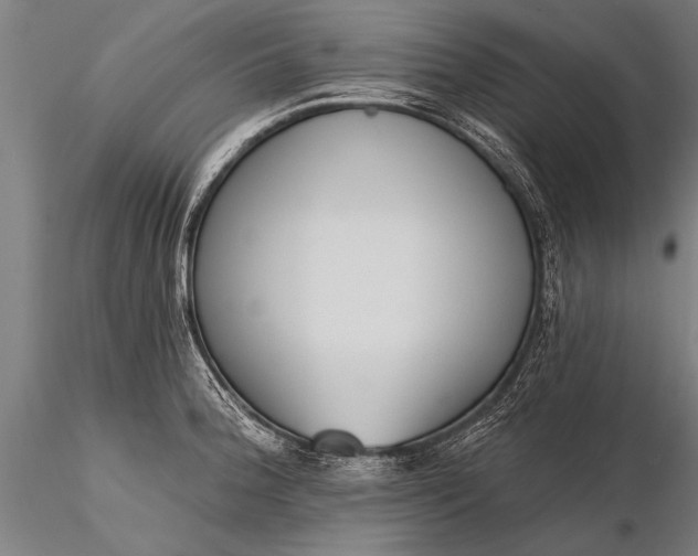 X0000116381188200912161454