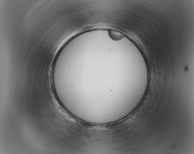 X0000116381190200912161454