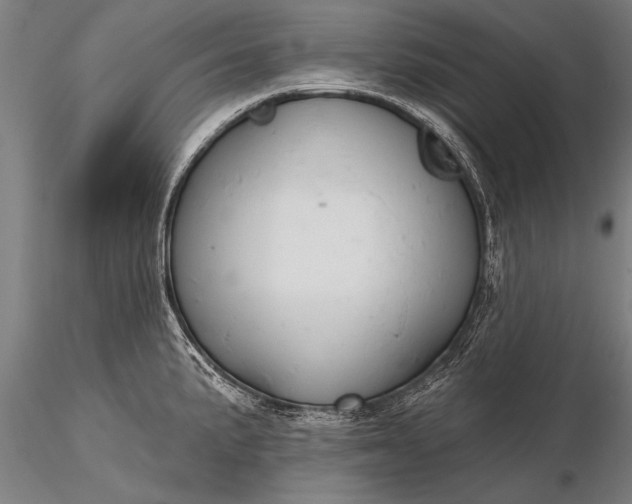 X0000116381191200912161454