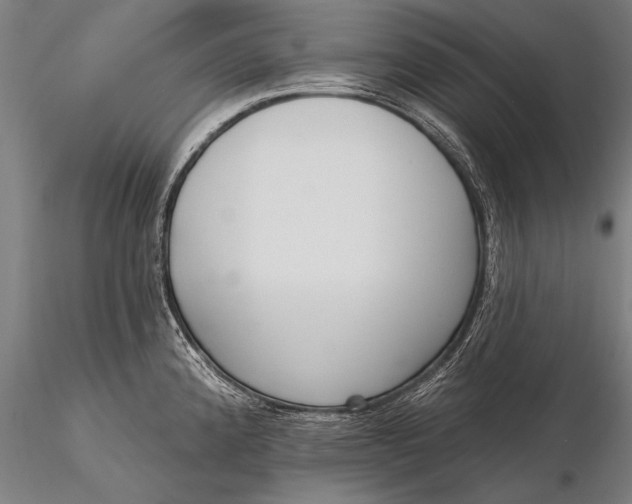 X0000116381192200912161453