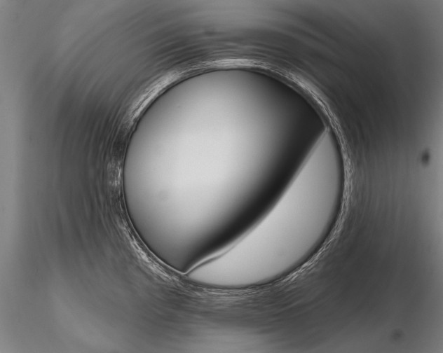 X0000116381193200912161453