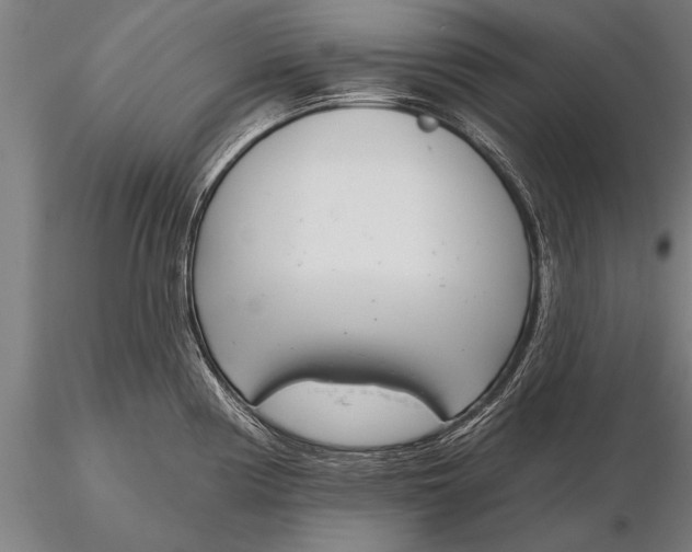X0000116381194200912161453