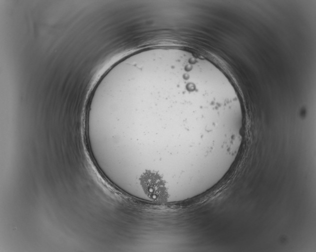 X0000116381195200912161453