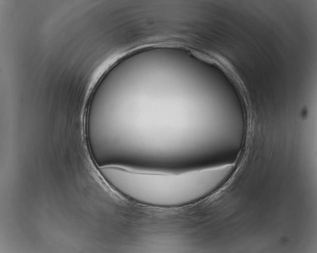 X0000116381196200912161453
