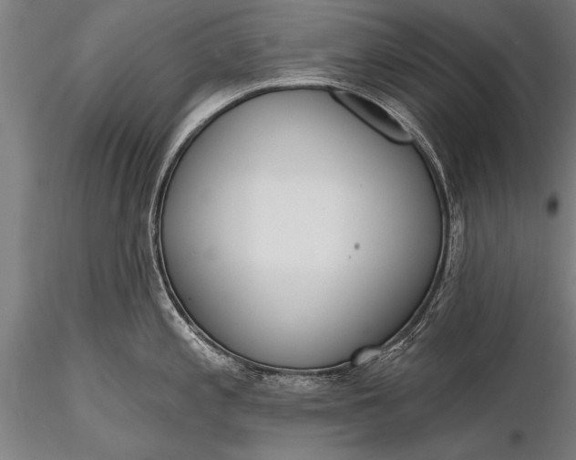 X0000116381197200912161453