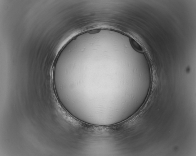 X0000116381198200912161453