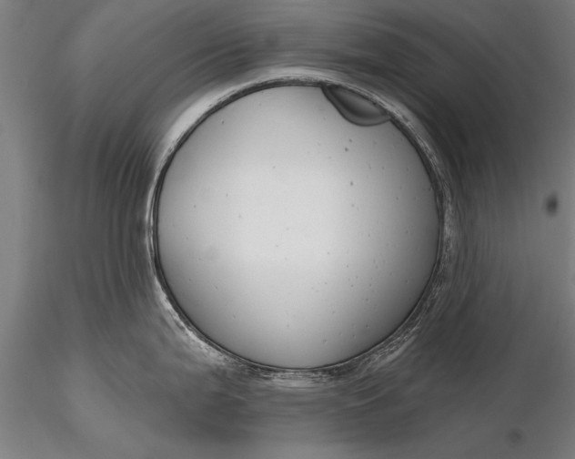 X0000116381199200912161453