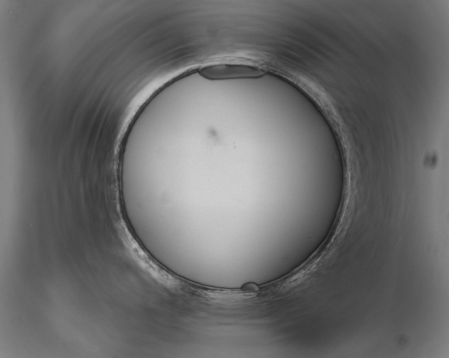 X0000116381200200912161453