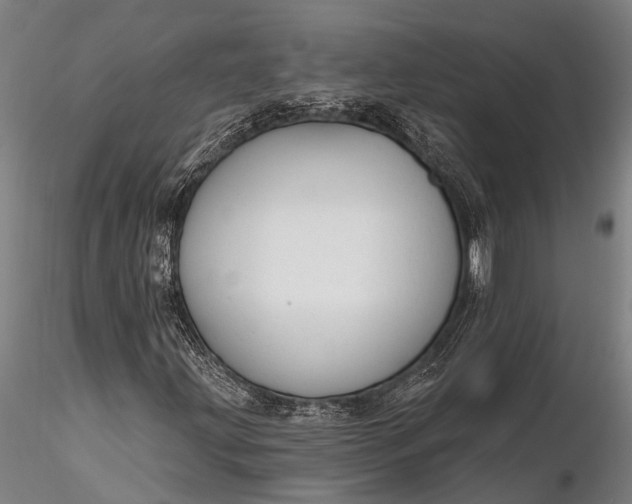 X0000116381203200912161453